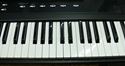 Picture of WILLIAMS LEGATO MUSIC KEYBOARD