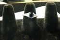 Picture of 14K WHITE GOLD SAPPHIRE RING