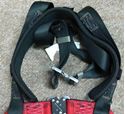 Picture of MSA 10041615 Body Harness W/ MSA 10023970 Lanyard, 2 Leg, Nylon , Red