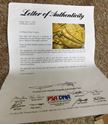 Picture of MICKEY MANTLE SIGNED AUTOGRAPHED GLOVE WITH COA PSA/DNA