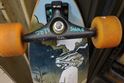 Picture of Arbor Fish Longboard Skateboard Trees 46 Inch R12