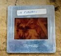 Picture of VINTAGE PLAYBOY SLIDE 2X2 COLLECTIBLE MADE IN SWITZERLAND 
