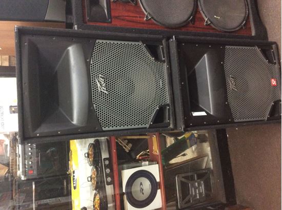 peavey monitors used