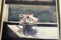 Picture of Andrew Wyeth (May Basket) Plate Signed Framed Lithograph (21" x 17")