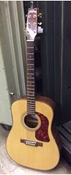 Picture of Washburn acoustic guitar dk20t pre owned mint 846162-1 