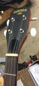 Picture of Gretsch 1883 5 strings banjo pre owned mint with case 841955-1 