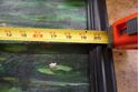 Picture of Framed oil painting " Lilly Pad scene " 20 x 16 FREE SHIPPING