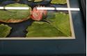 Picture of WATERCOLOR PAINT "LILLY PAD" 17 x 13 FREE SHIPPING