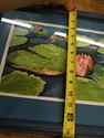 Picture of WATERCOLOR PAINT "LILLY PAD" 17 x 13 FREE SHIPPING